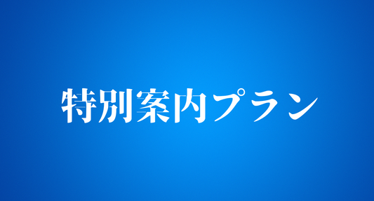 【分割払い】特別顧問_売上支援プラン